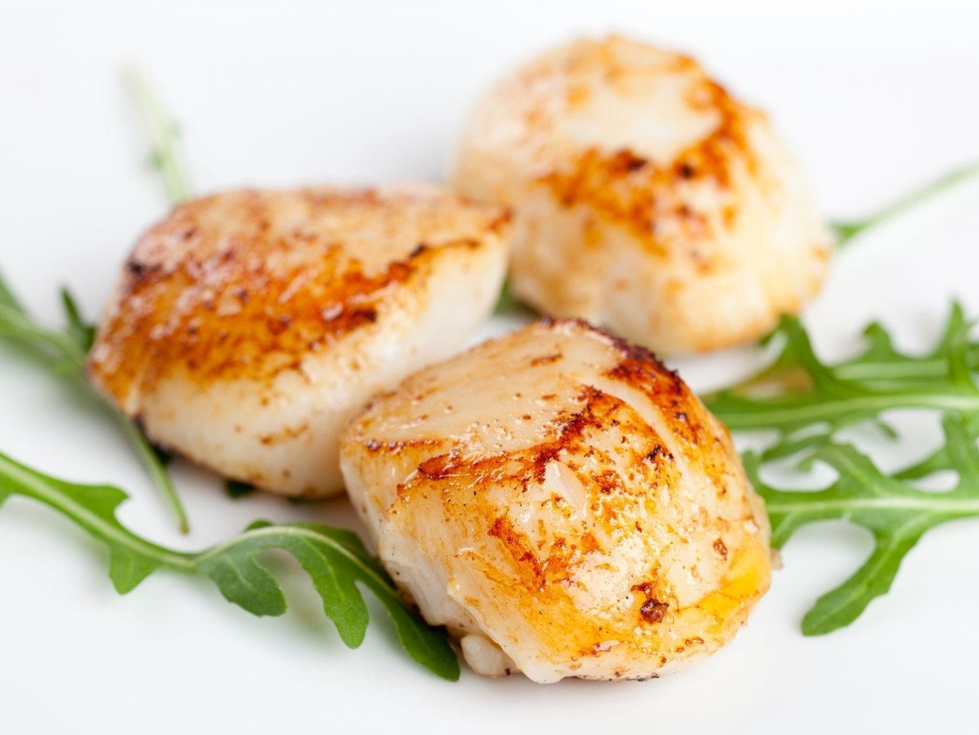 Pan-seared scallops with arugula garnish at Ah Ma Hibachi, a Japanese Restaurant in Metairie