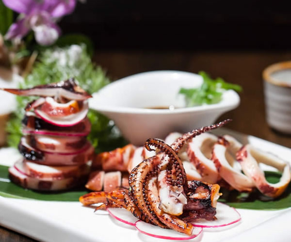 Grilled squid and seafood appetizer at Akira, a Japanese Restaurant in Glenmont