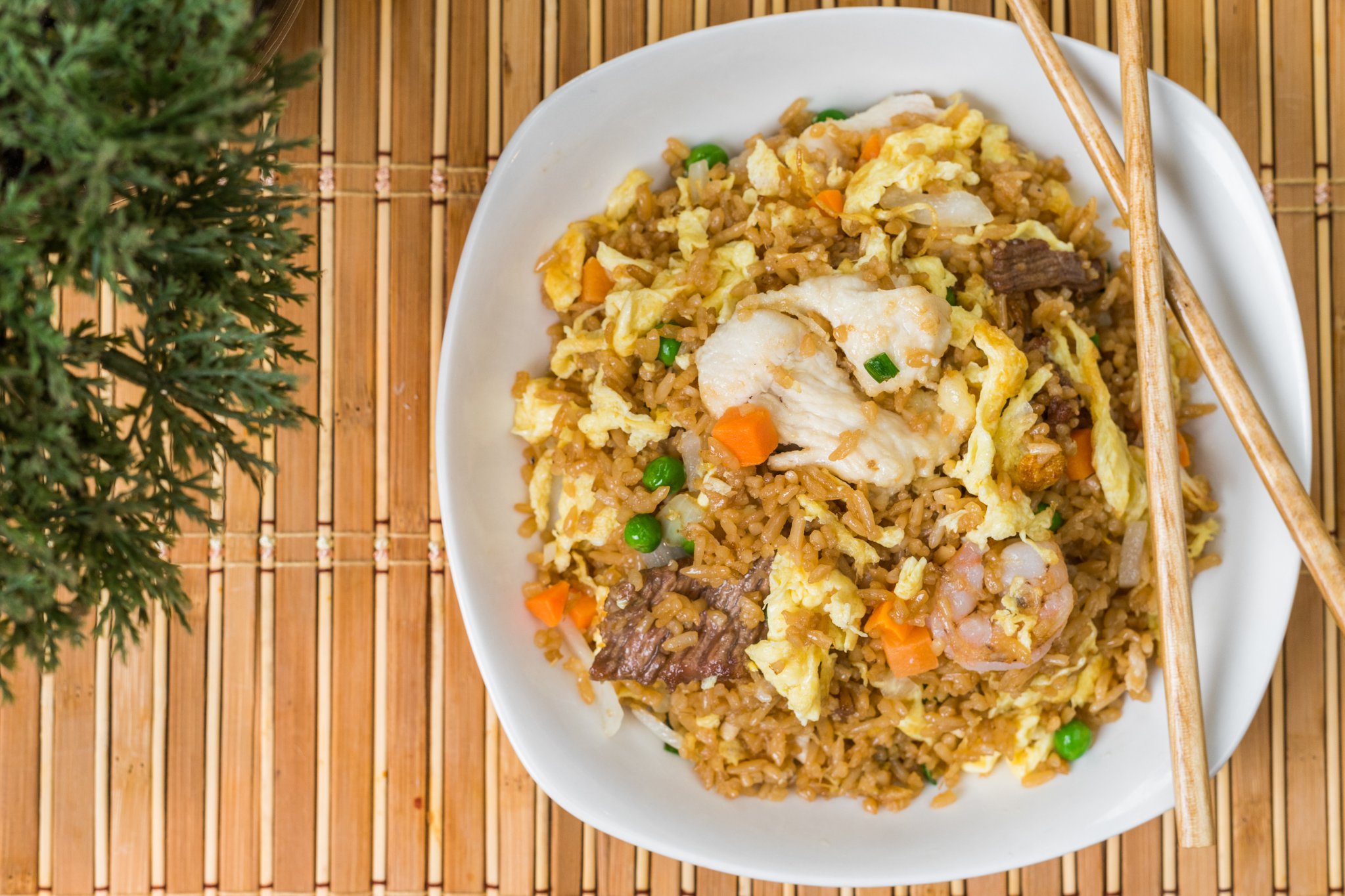 Combination fried rice with seafood and meat