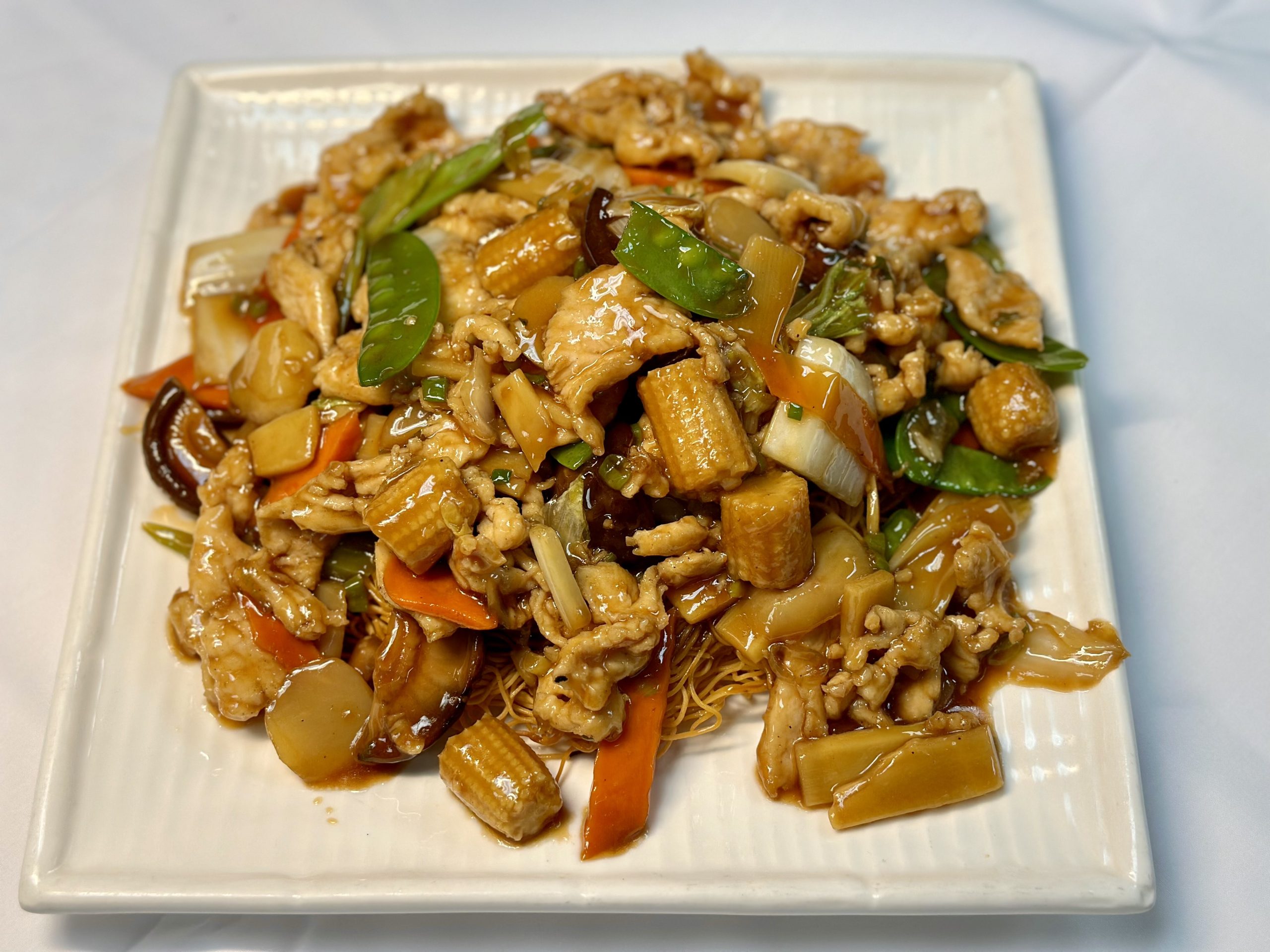 Chinese-Restaurant-Bamboo-Garden-Restaurant-Dish- (8) Chinese Restaurant Bamboo Garden Restaurant | Falcon