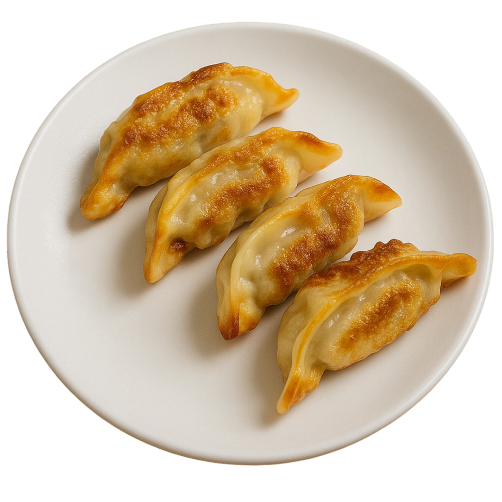 Pan Fried Dumpling at Bite & Sip，a Chinese Dim Sum Restaurant in New York