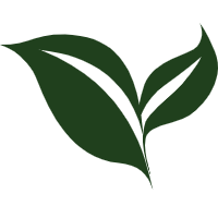 Solid green two‑leaf tea plant icon graphic