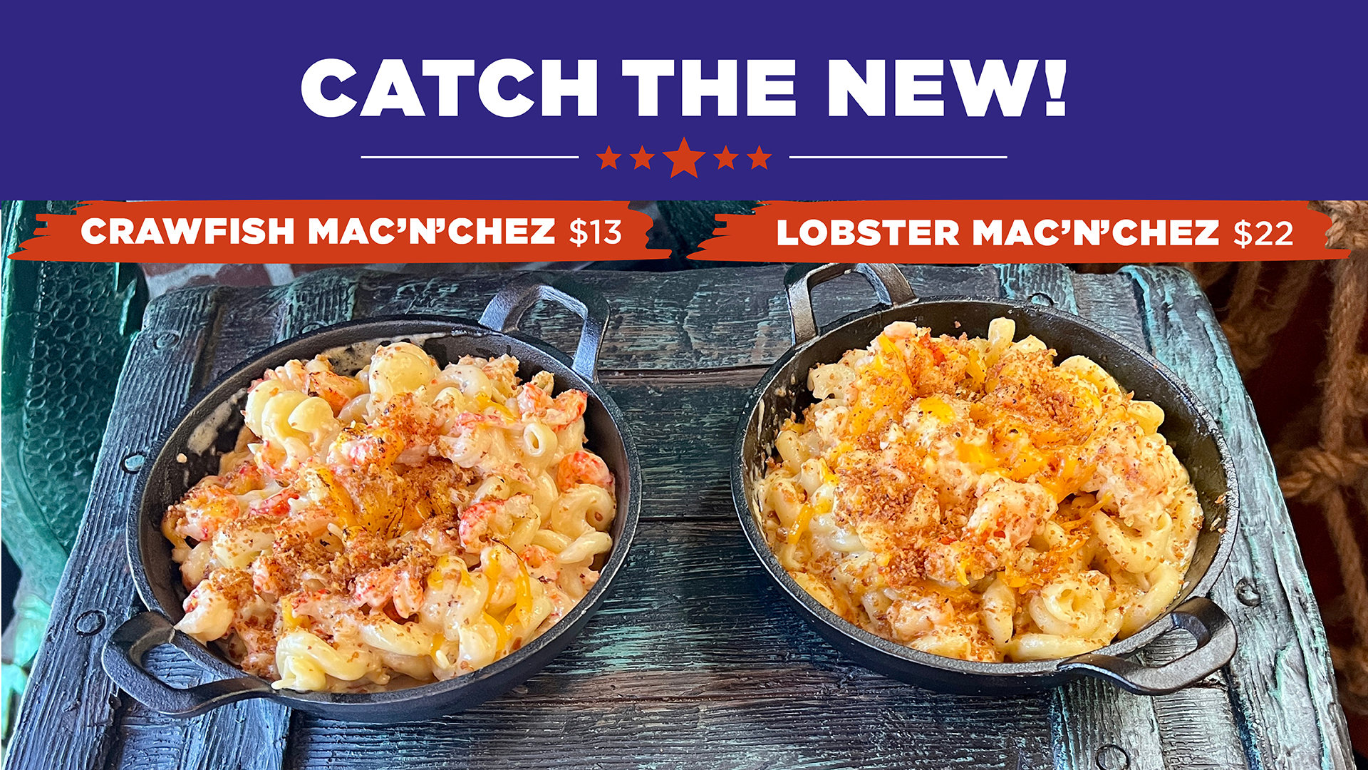Catch the New 021426