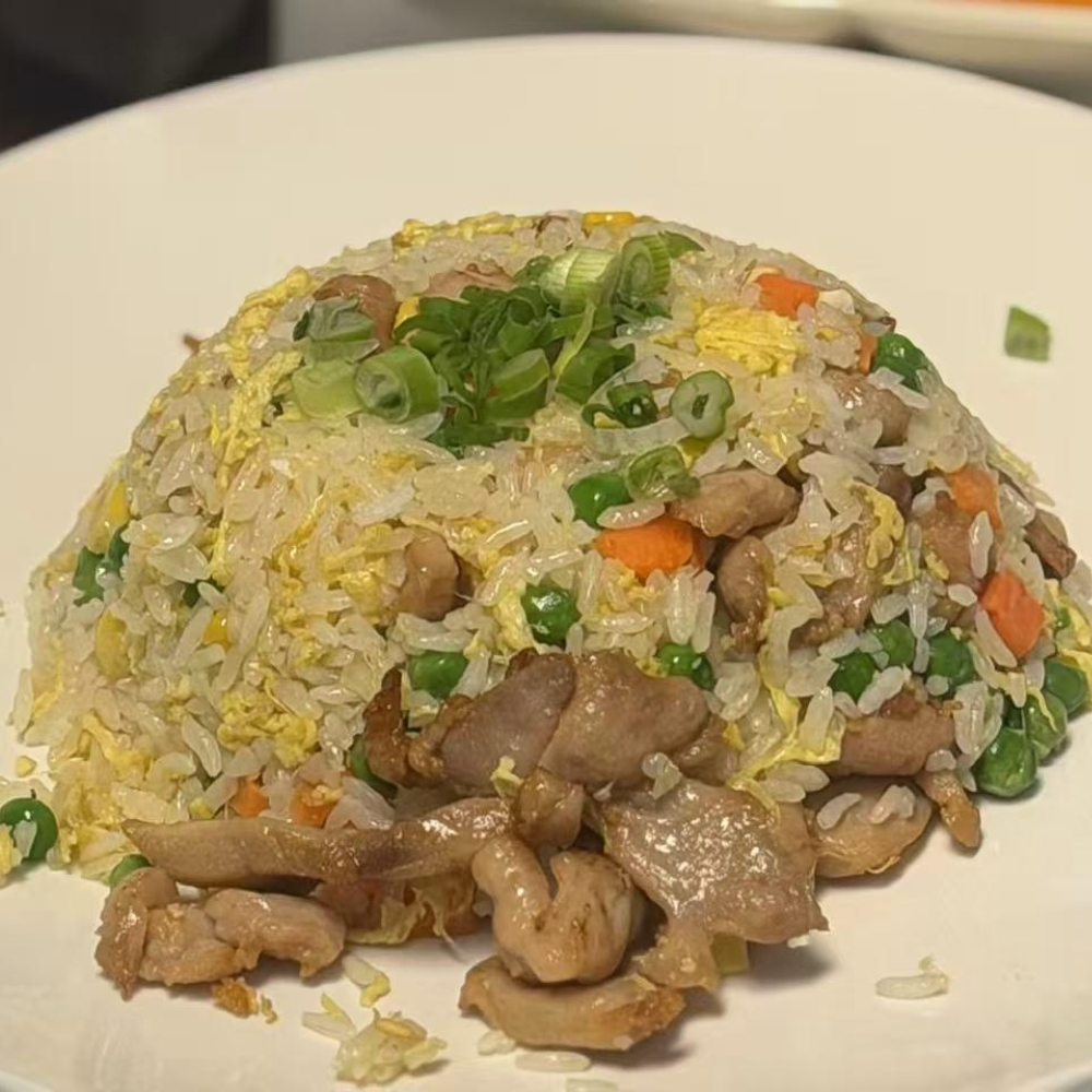 Chicken fried rice with mixed veggies and egg at Kung Fu Noodles, a Chinese Noodle Restaurant in Chilton