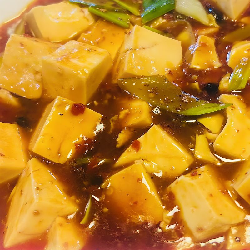 Chong-Qing-Restaurant-Chinese-Restaurant-Mapo-Tofu-East-Providence Mapo tofu in spicy and savory sauce.