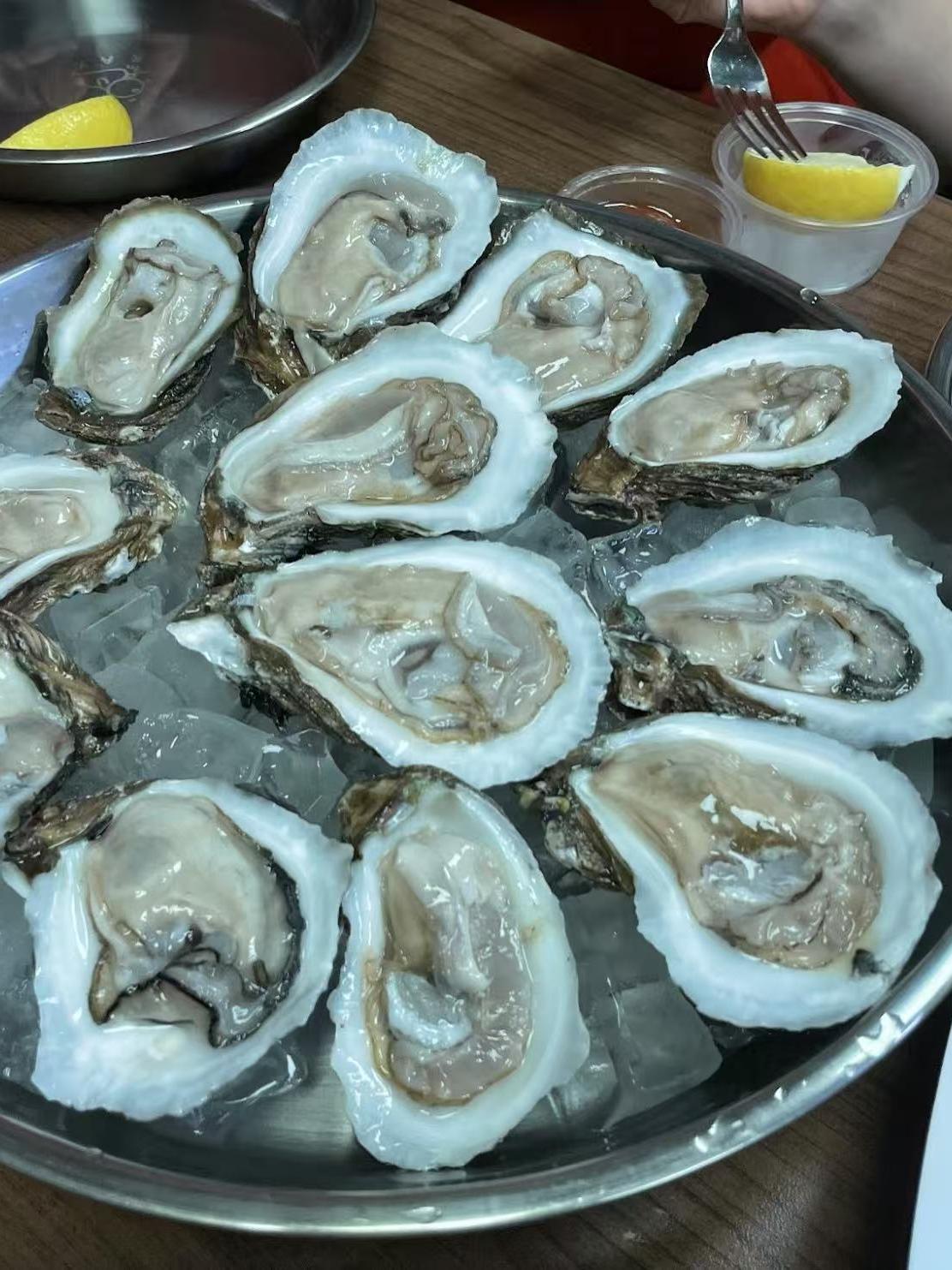 Fresh oysters served on ice at Crabbers, a Seafood restaurant in Sarasota