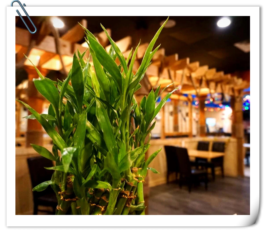 Crazy Order｜Southfield｜MI