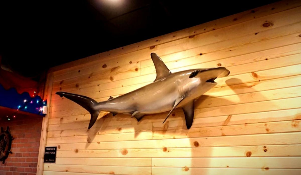 Crazy Order｜Southfield｜MI