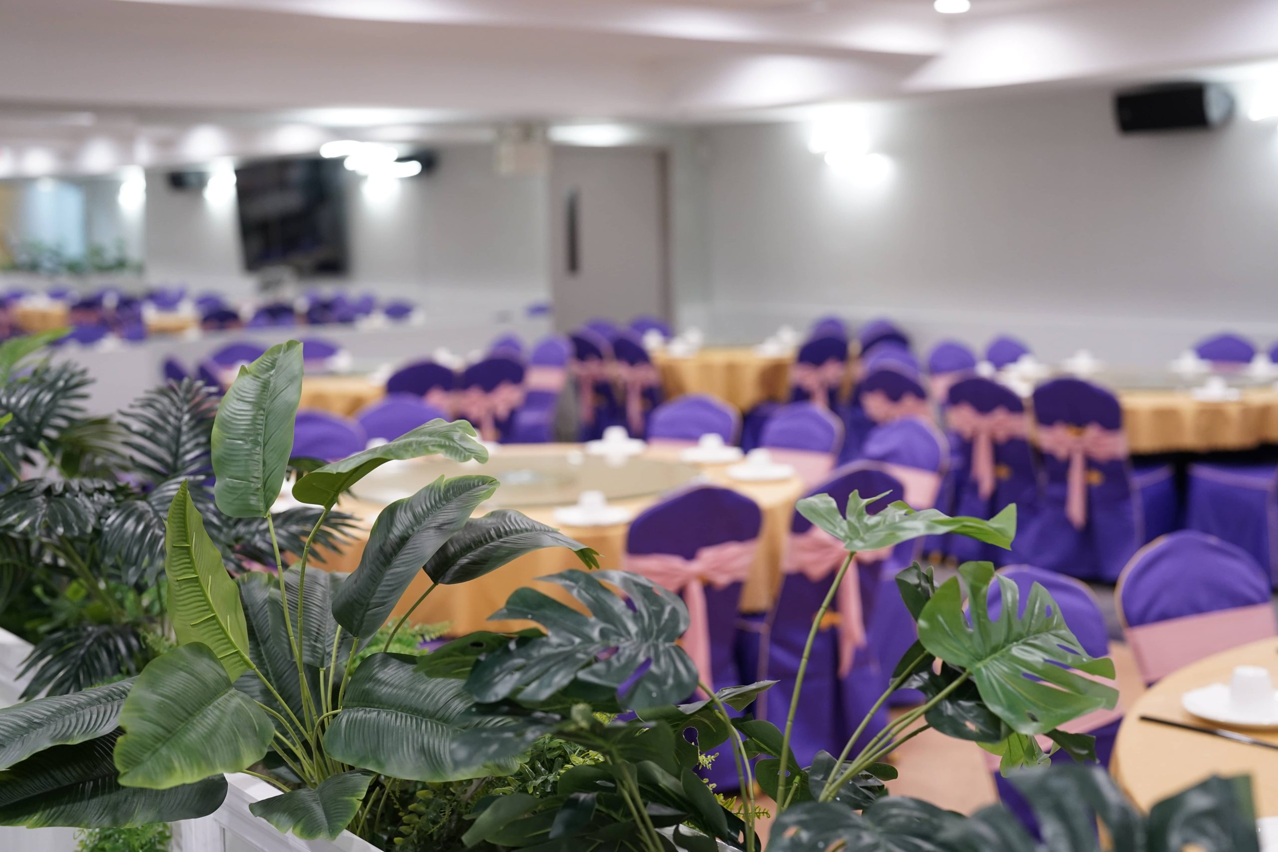 Banquet hall with plants and round tables at Dak Sing Palace, a Chinese Restaurant in Brooklyn