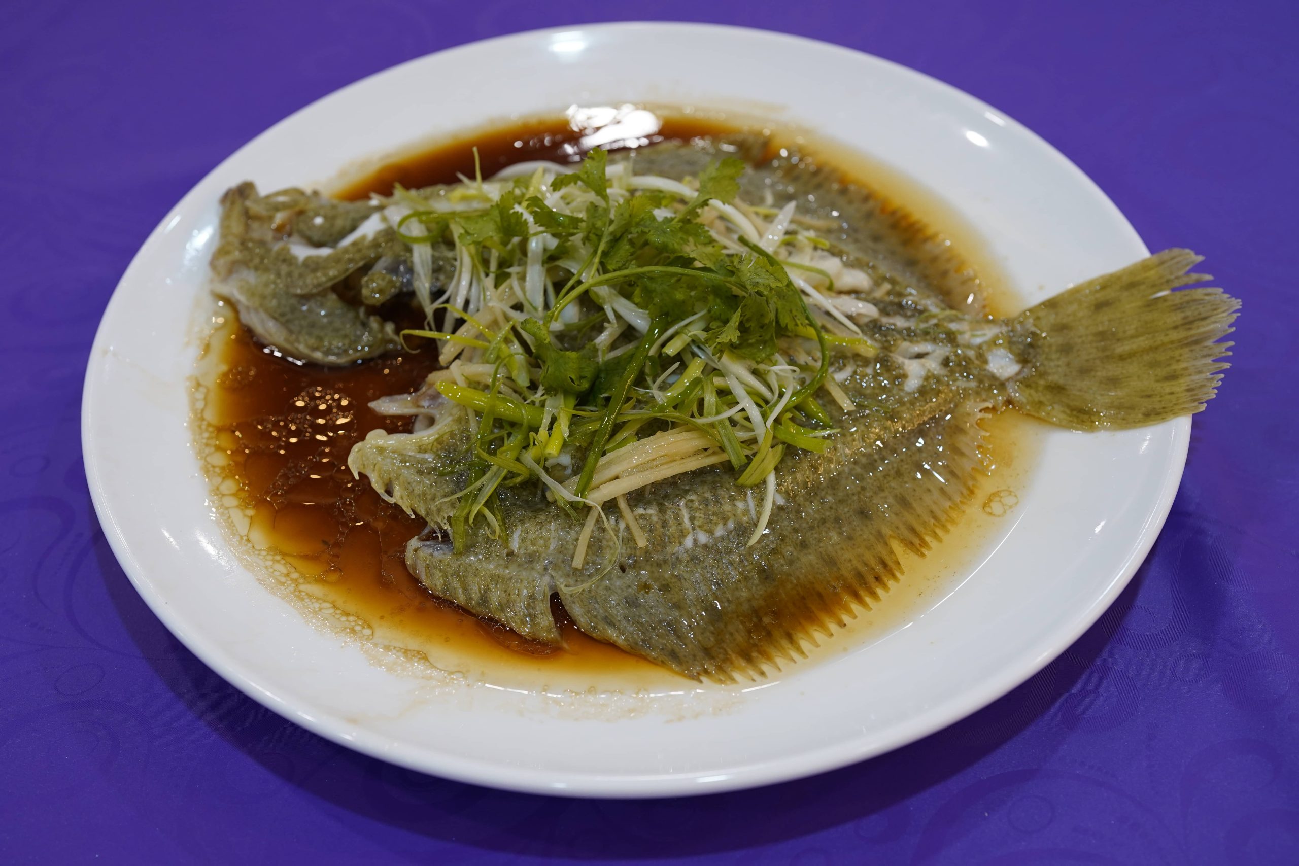 Steamed turbot with cilantro and scallion at Dak Sing Palace, a Chinese Restaurant in Brooklyn