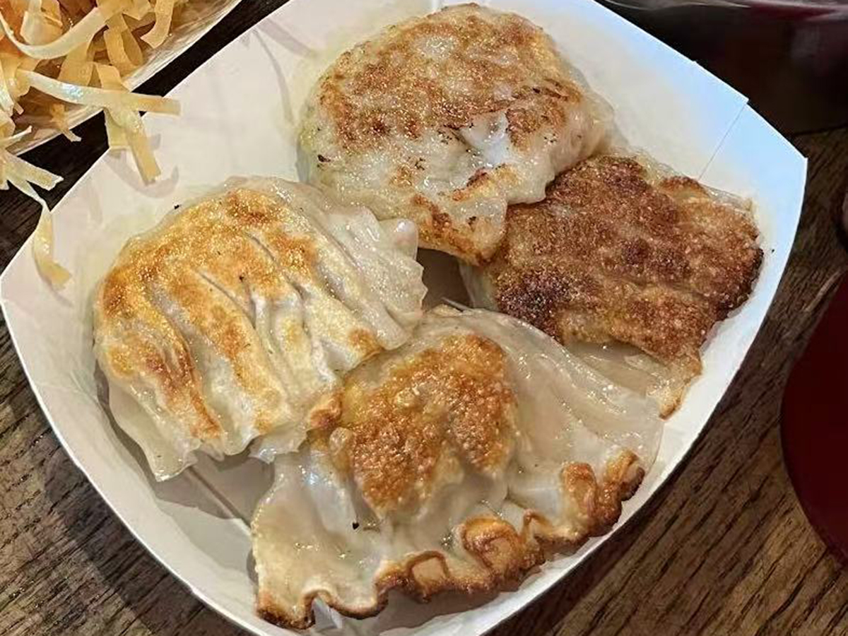 Dim-Sum-Express-Chinese-Restaurant-Pan-Fried-Dumplings-Palm-Coast Pan - Fried Dumplings at Dim Sum Express, a Chinese Restaurant in Palm Coast