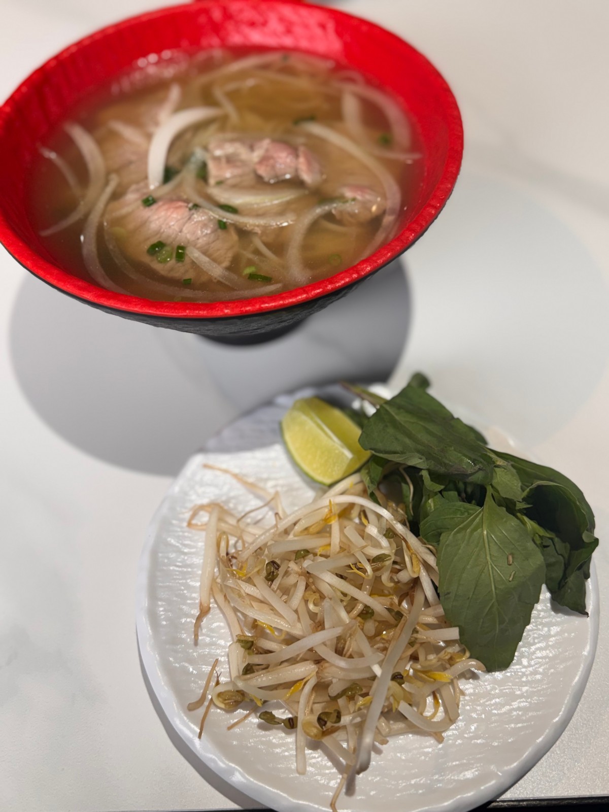 Vietnamese beef noodle soup with fresh herbs, sprouts, lime at Takumi, a Japanese Restaurant in Fairview Heights