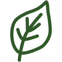 Leaf icon