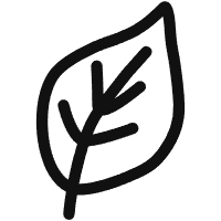 Leaf icon
