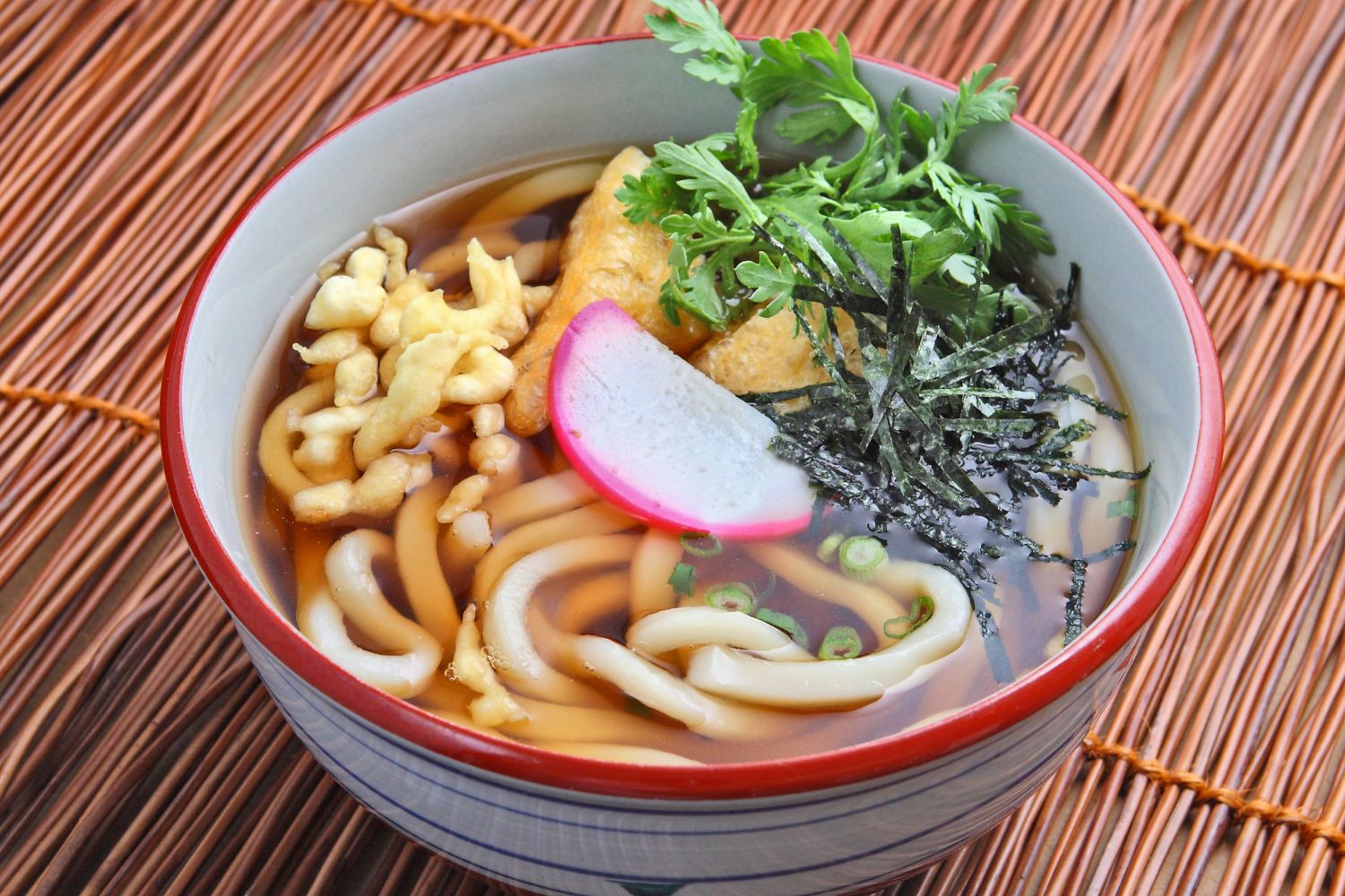 Traditional udon noodle soup topped with tofu, seaweed and radish at Fuji Asian Cuisine, an Asian Restaurant in Sylacauga