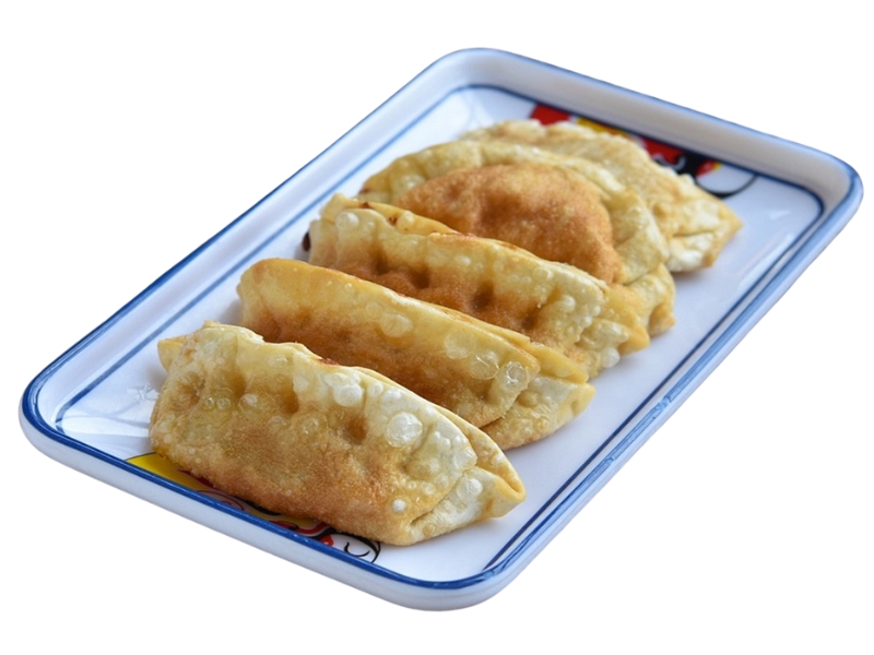 Crispy fried gyoza dumplings served on a platter at Fuji & Sushi Steak House, a Japanese Restaurant in Janesville