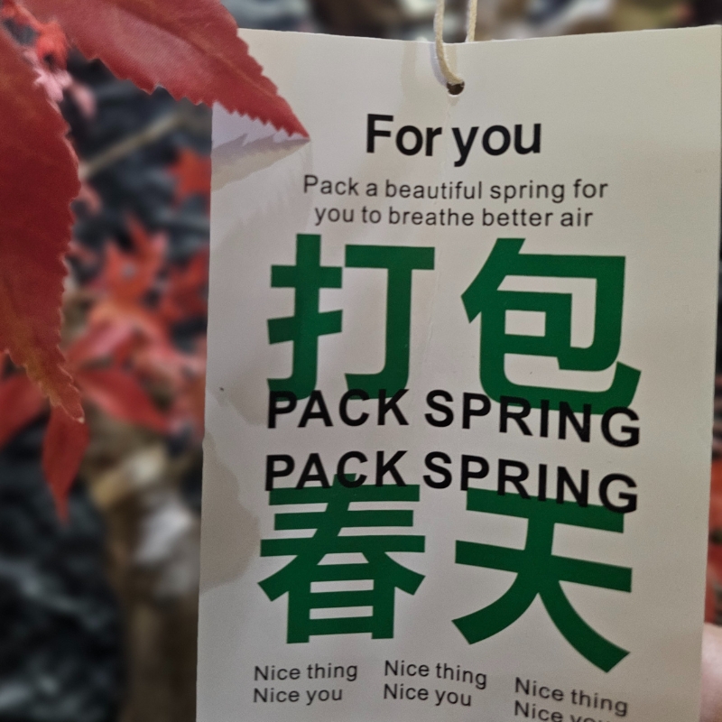 A tag with "Pack Spring" text at Fujisan, a Japanized Western Restaurant in Chandler
