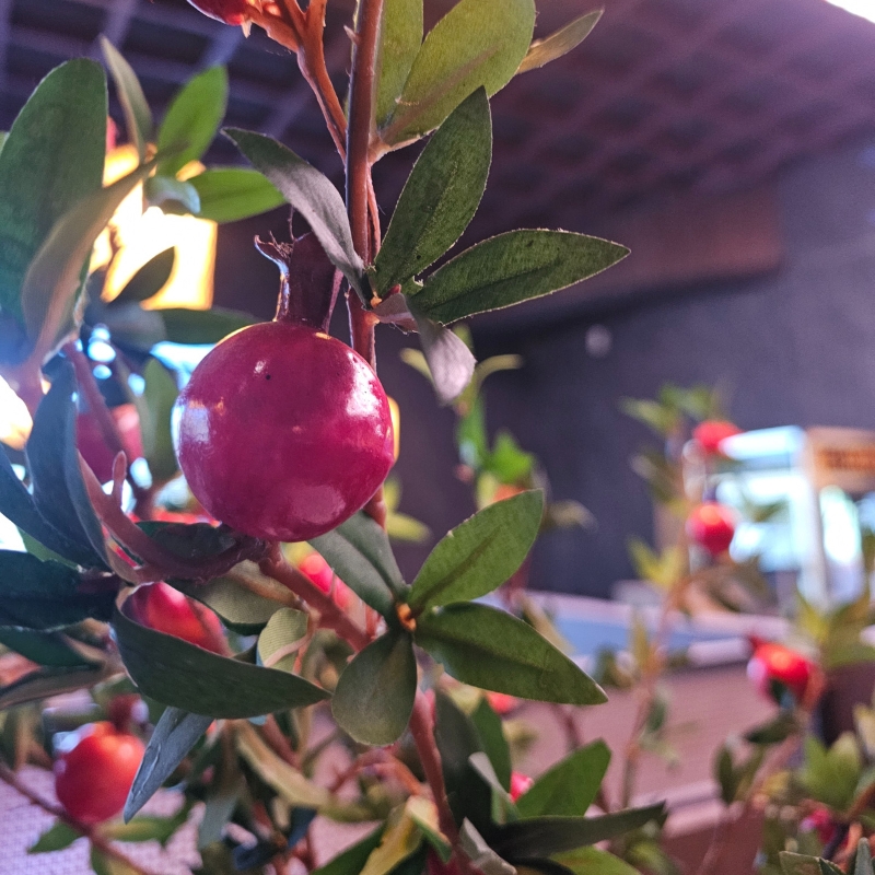 Pomegranate decoration with green leaves at Fujisan, a Japanized Western Restaurant in Chandler