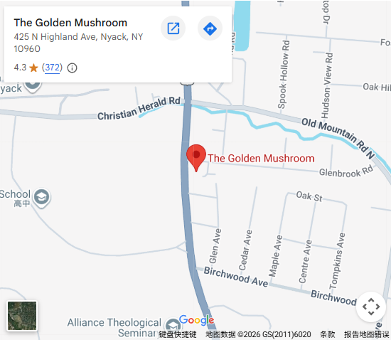 Location, 425 N Highland Ave, Nyack, NY 10960