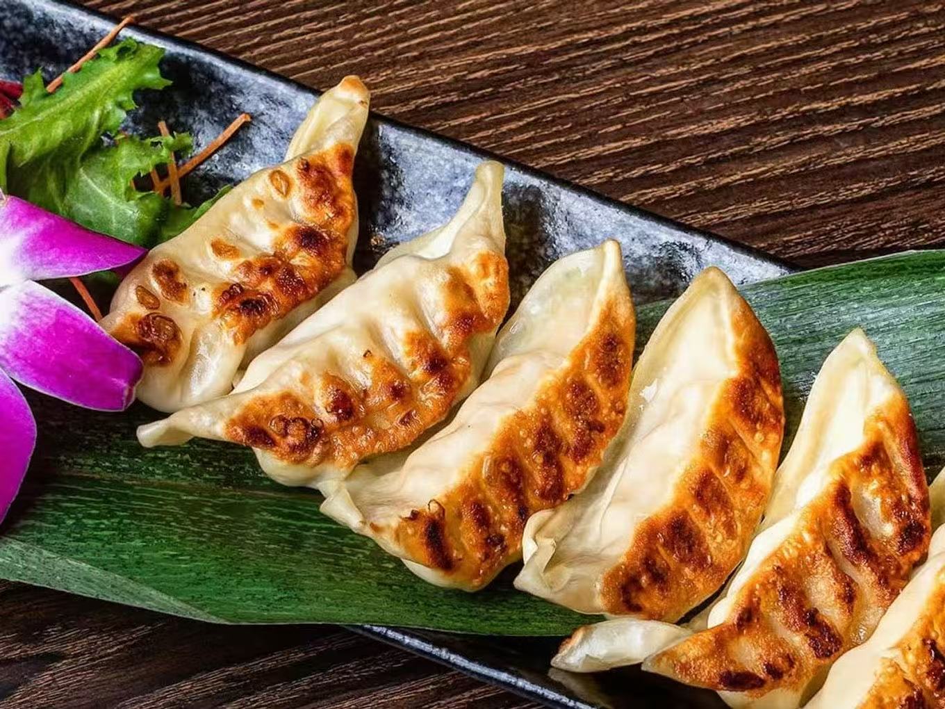 Golden pan-fried dumplings with crispy bottoms at Hana Sushi & Asian Cuisine, a Asian Restaurant in Maplewood