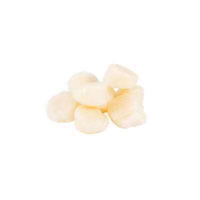 Raw scallops, smooth and pale, prepared for cooking at Cherry Amber, a Asian fusion restaurant in Plainview