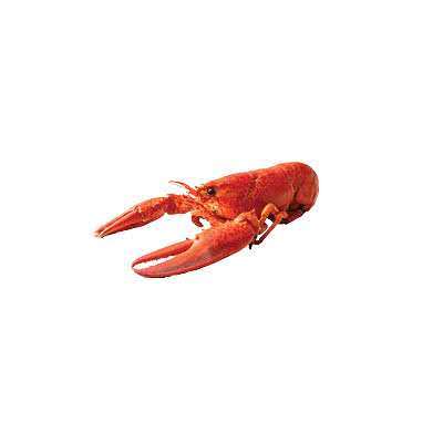 Cooked red crayfish with large claws and segmented body at Cherry Amber, a Asian fusion restaurant in Plainview