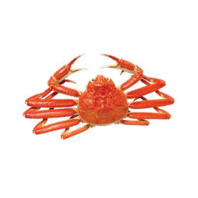 Cooked snow crab with bright red shell and long legs at Cherry Amber, a Asian fusion restaurant in Plainview