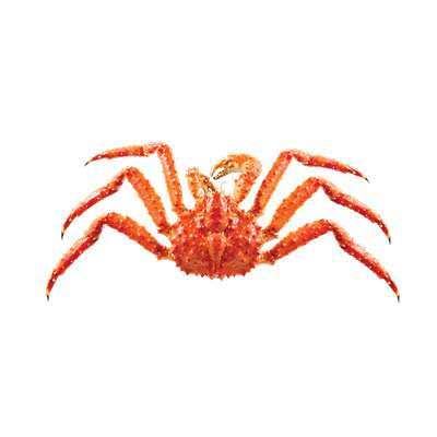Cooked king crab with large, spiny red shell and legs at Cherry Amber, a Asian fusion restaurant in Plainview