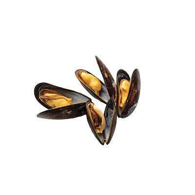 Cooked mussels with open shells revealing tender meat at Cherry Amber, a Asian fusion restaurant in Plainview
