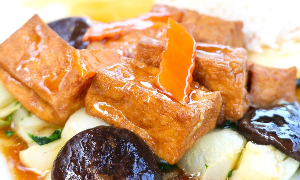 Savory braised tofu with rice at Hong Kong City Restaurant, a Chinese Restaurant in Alameda