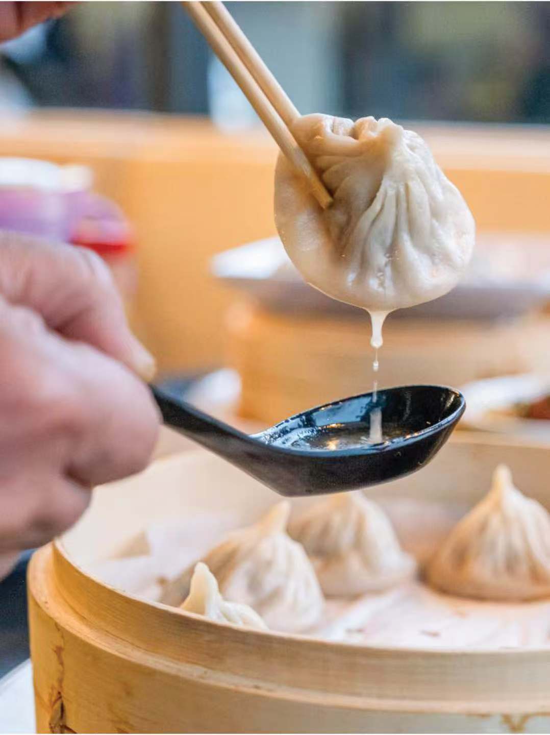 Soup Dumplings at Jade Dumpling, Chinese Restaurant in Salem