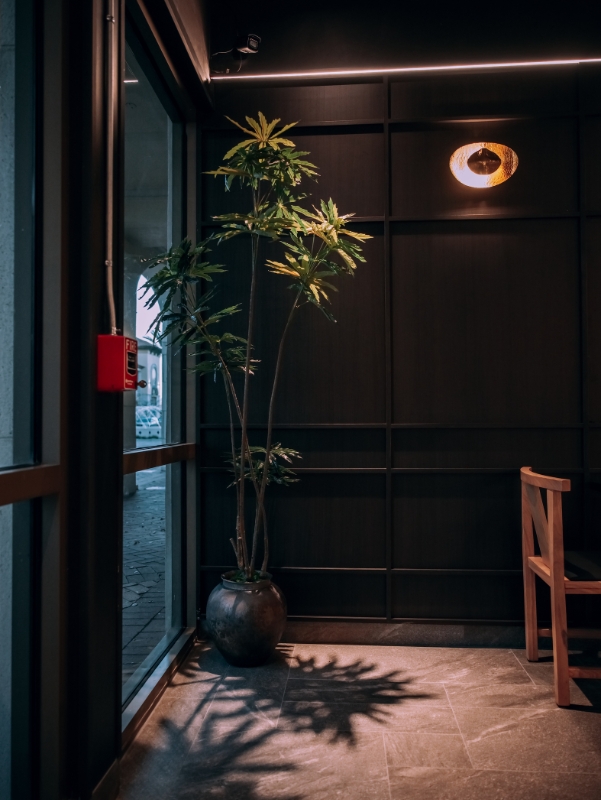 Stylish entryway with a potted plant at Kanpai Ramen, a Ramen Restaurant in New Port Richey