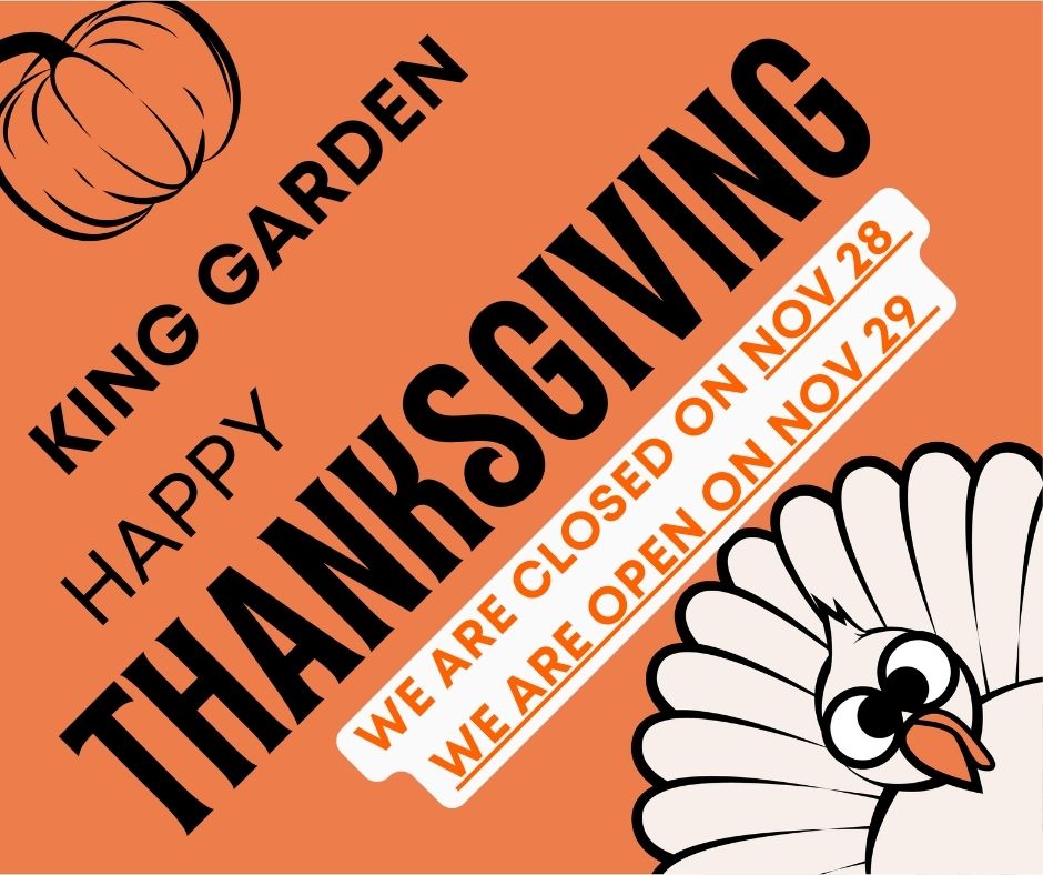 写出这张图片符合无障碍标准的alt和title，要求英文，限制120个字符