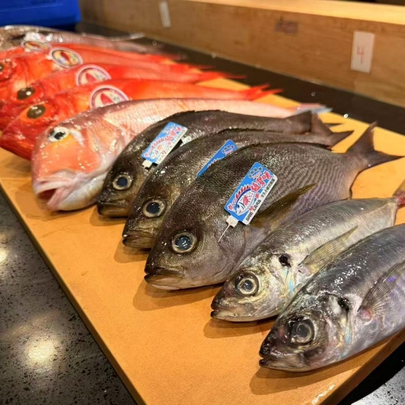 Various fresh raw fish laid on wood board at Ki Omakase, a Sushi Restaurant in Little Neck