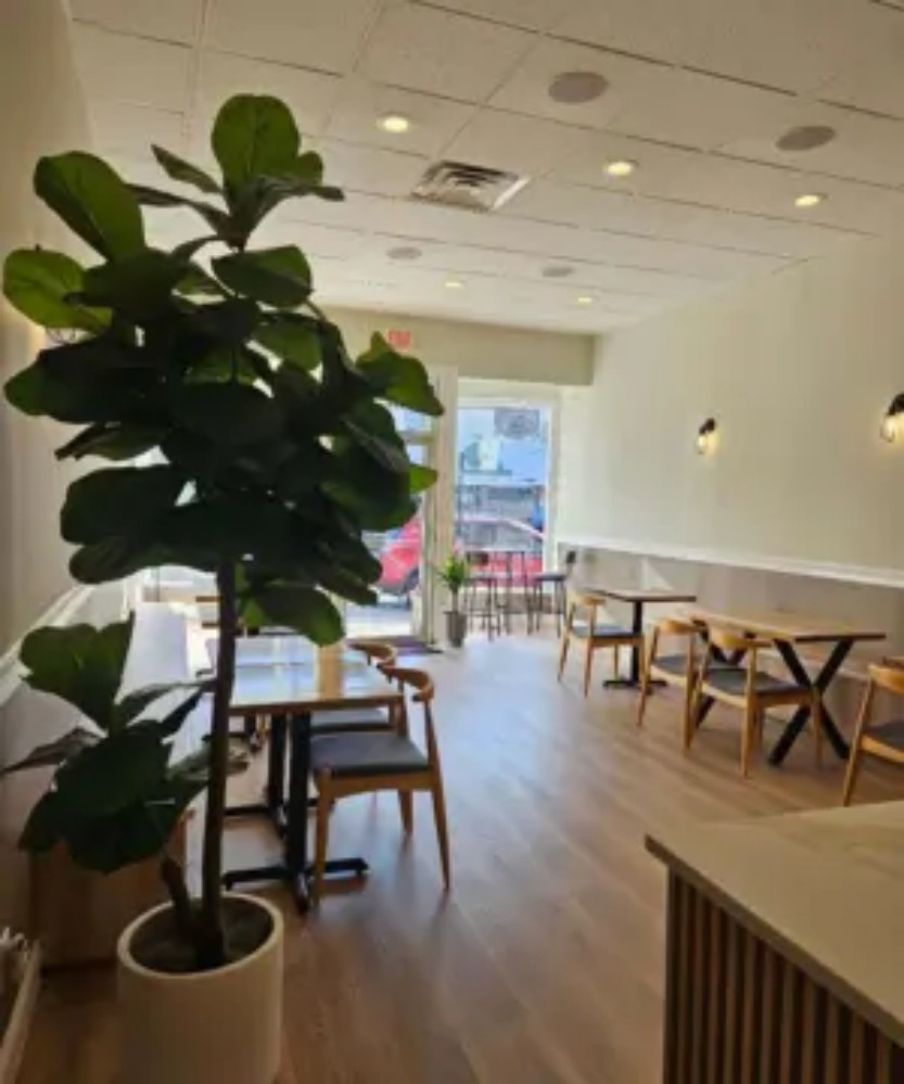 Spacious dining area with fiddle leaf fig plant at KOKORO House Of Ramen, a Ramen Restaurant in Glen Rock