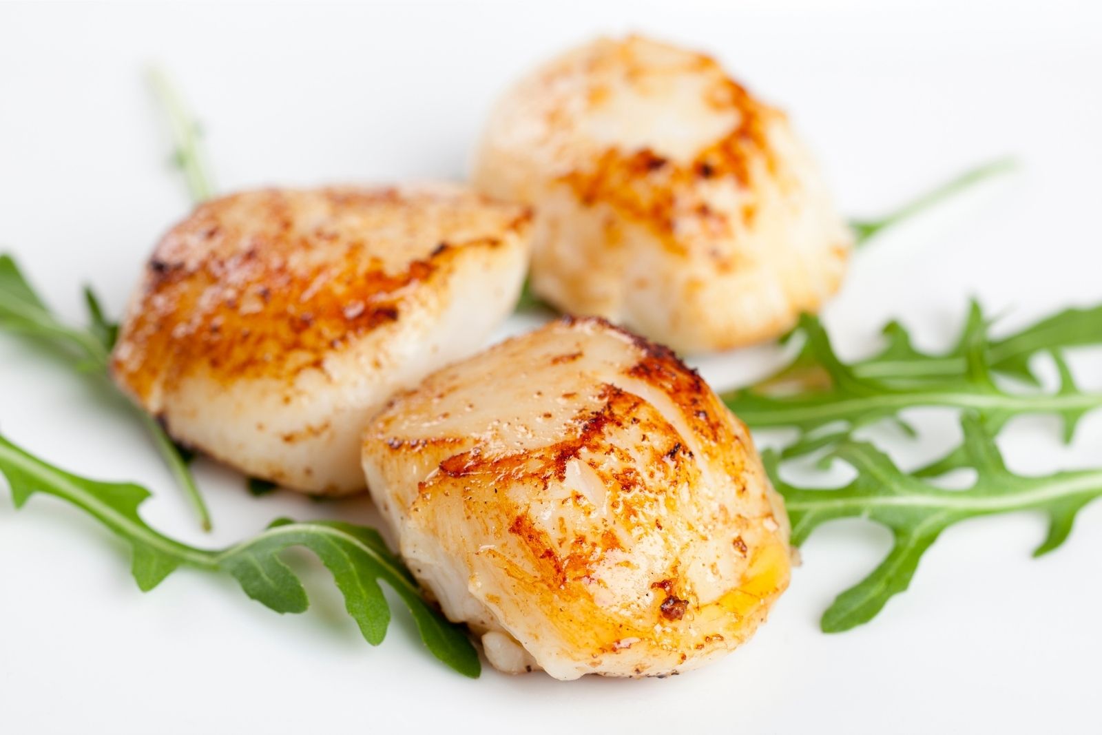Pan-seared scallops with arugula garnish at LA Sushi And Hibachi, a Japanese Restaurant in Santa Fe