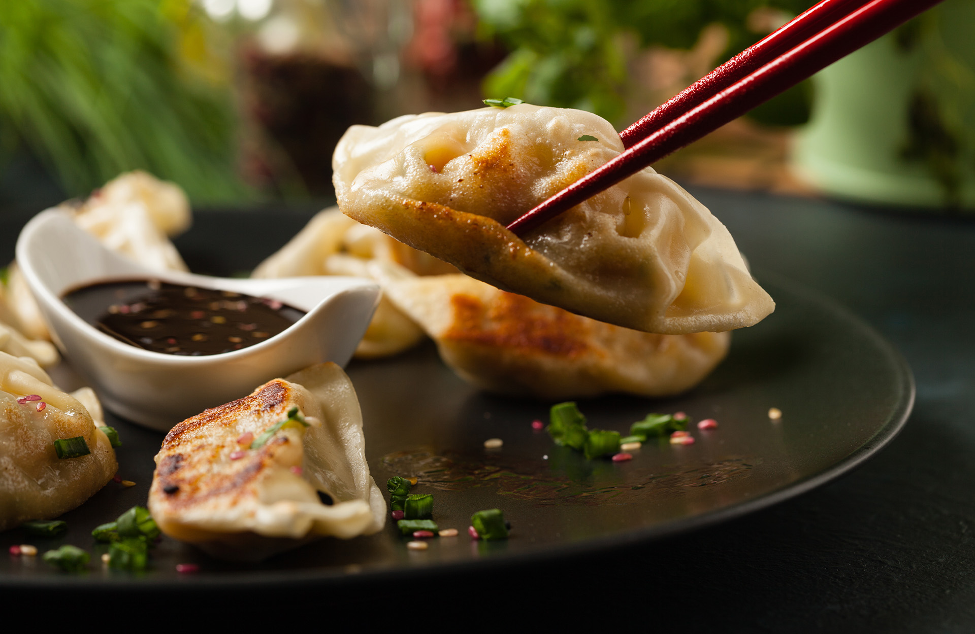 Chopsticks holding a crispy pan-fried dumpling over a plate with dipping sauce