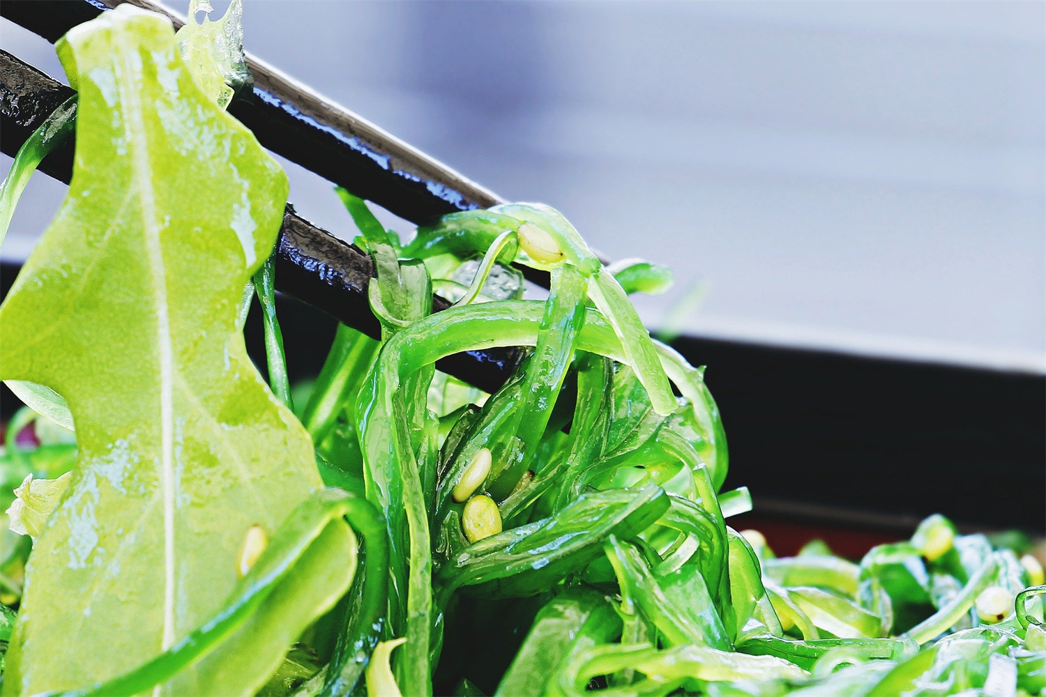 Close-up of green leafy vegetables and bean sprouts being held with metal tongs