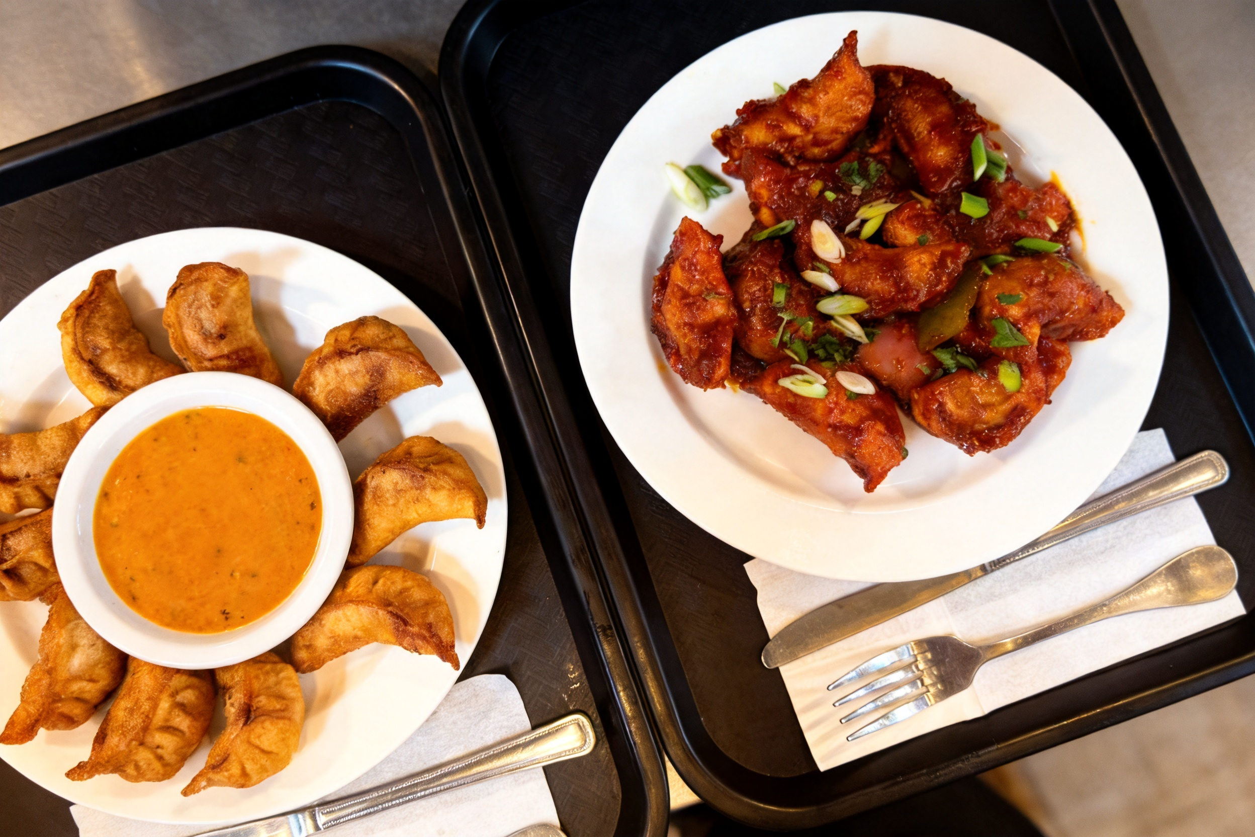 Fried Momos and Chili Momos at Mandala kitchen, Indian · Chinese · Nepali Restaurant in Rockville