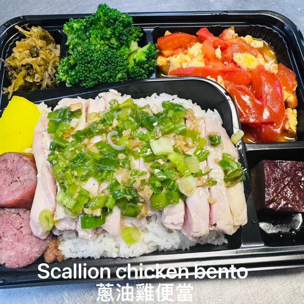 Mango-Island-Chinese-Taiwanese-Restaurant-Scallion-Chicken-Bento-Orlando Scallion chicken bento with rice and assorted sides at Mango Island, a Chinese Taiwanese Restaurant in Orlando