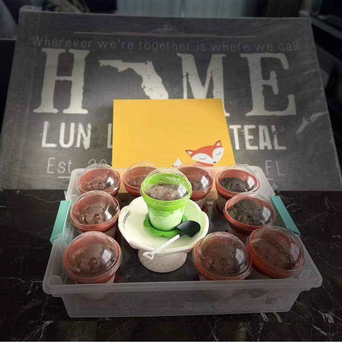 A garden - themed dessert set with small pots of pudding at Mango Island, a Chinese Taiwanese Restaurant in Orlando