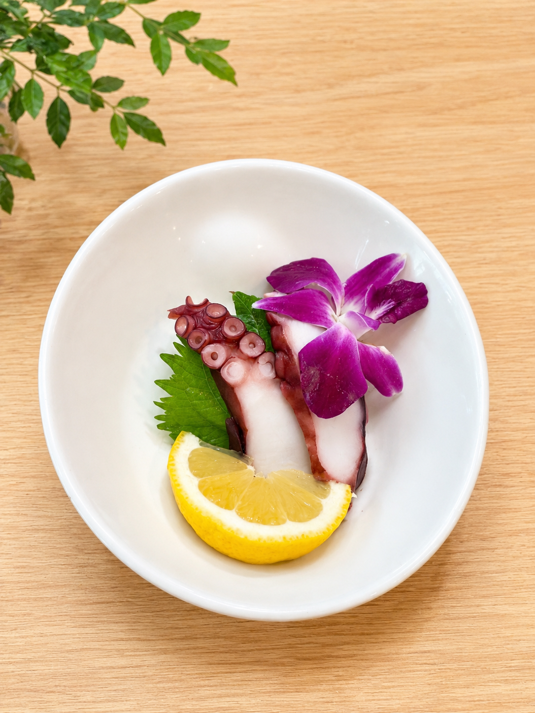 Octopus Sashimi at Momo Sushi & Asian Bistro, Pan-Asian Fusion Restaurant in Sugar Land