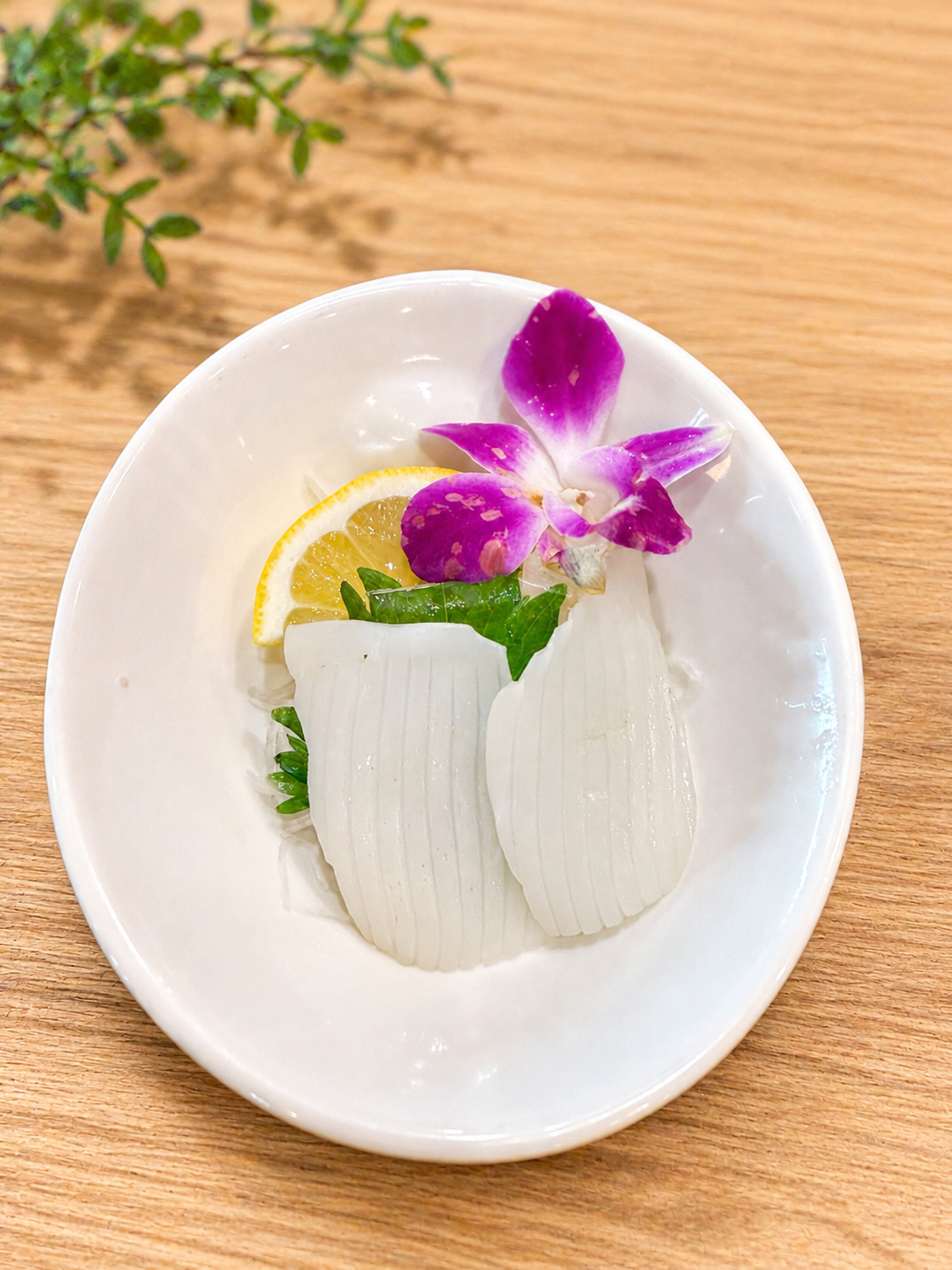 Squid Sashimi at Momo Sushi & Asian Bistro, Pan-Asian Fusion Restaurant in Sugar Land