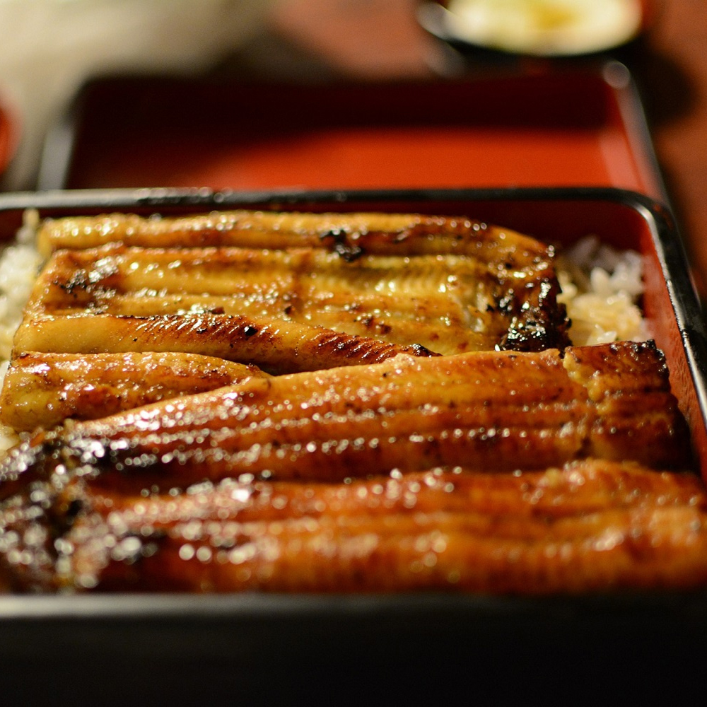 Eel at Momotaro Ramen & Sushi, Japanese Restaurant in Pensacola