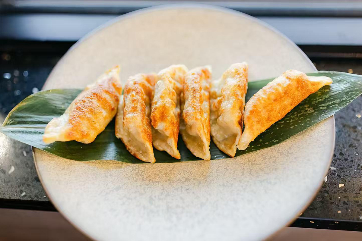 Pan-Fried Dumplings at Oishii Express, a Japanese Restaurant in Oklahoma City