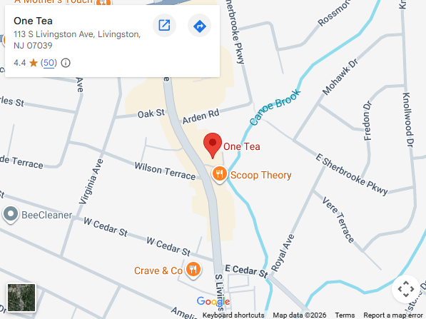 Location, 113 S Livingston Ave, Livingston, NJ 07039