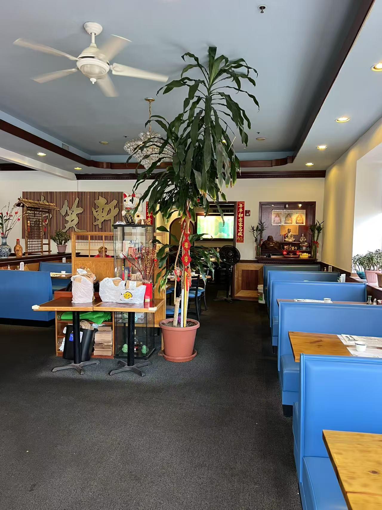 Restaurant Interior with Blue Booths, Large Potted Plant, and Ceiling Fan