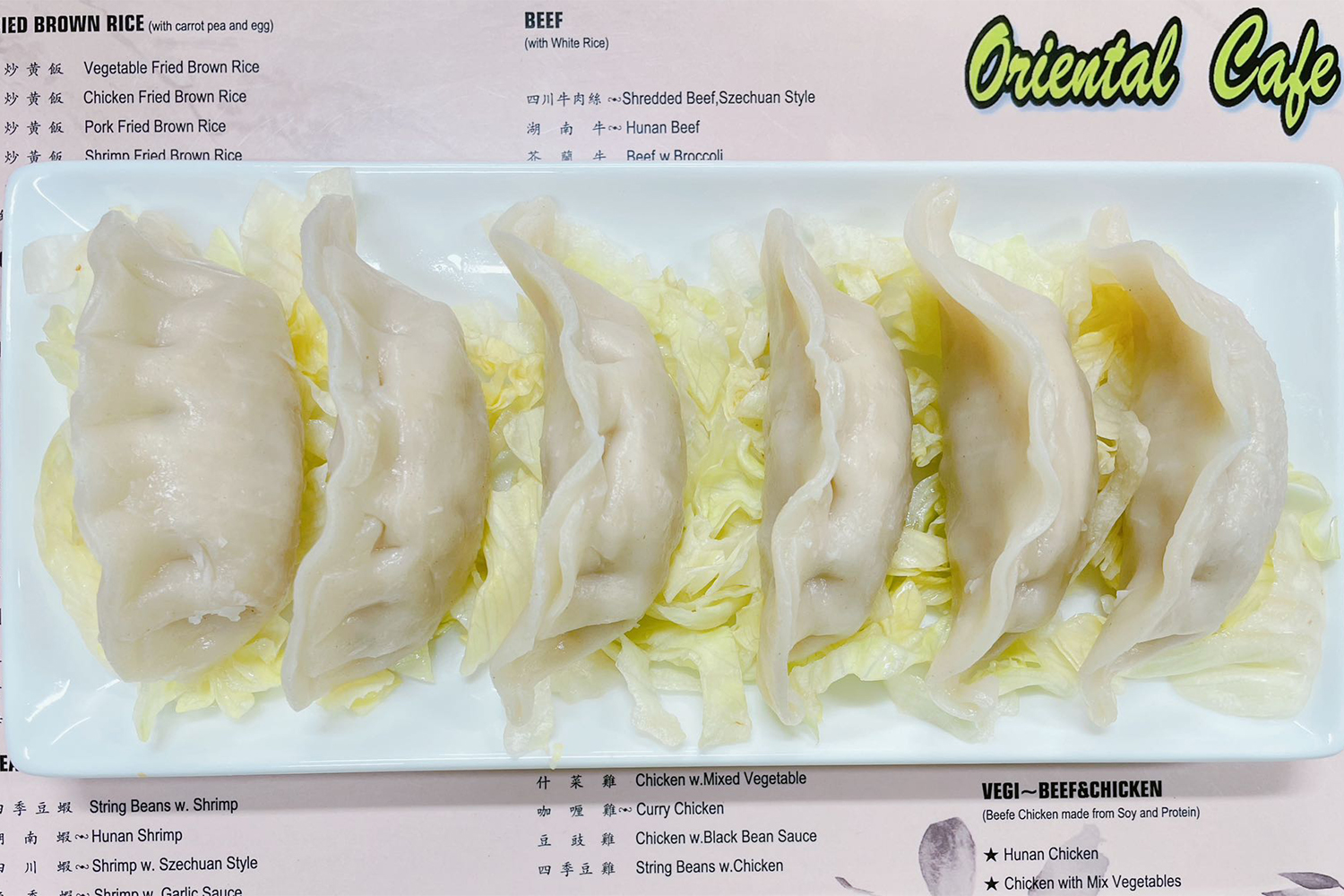 Steamed dumplings served on a bed of shredded lettuce at Oriental Cafe, a Chinese Restaurant in Rockville