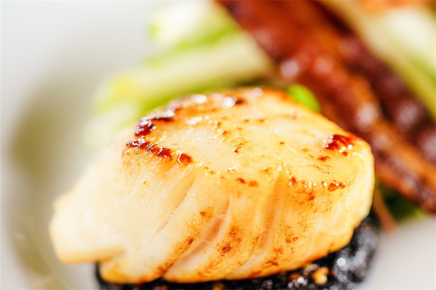 Pan‑seared scallop with golden brown sear marks at Osake，a Japanese Restaurant in Covington