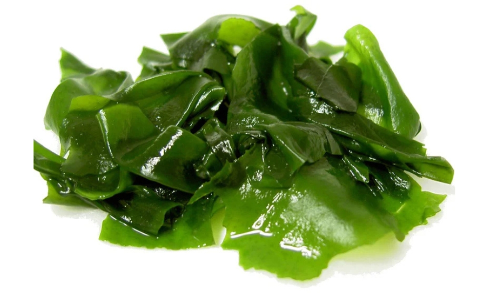 Fresh wakame seaweed, bright green and tender at RAMEN OSAKA, a Ramen Restaurant in San Jose